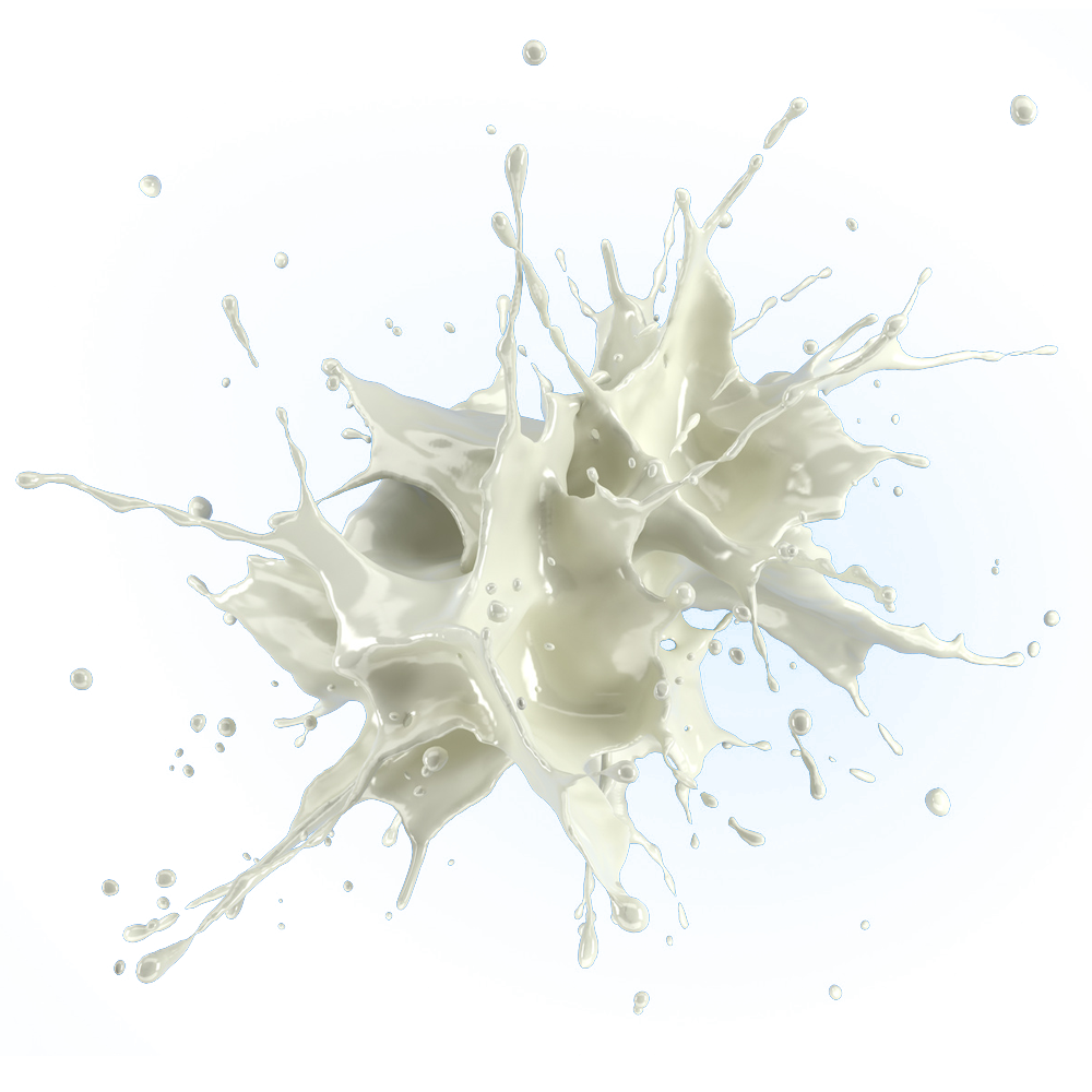 Milch-Tankreinigung-Kempten-Leutkitch-Memingen-Röck-Tankreinigung-2.png